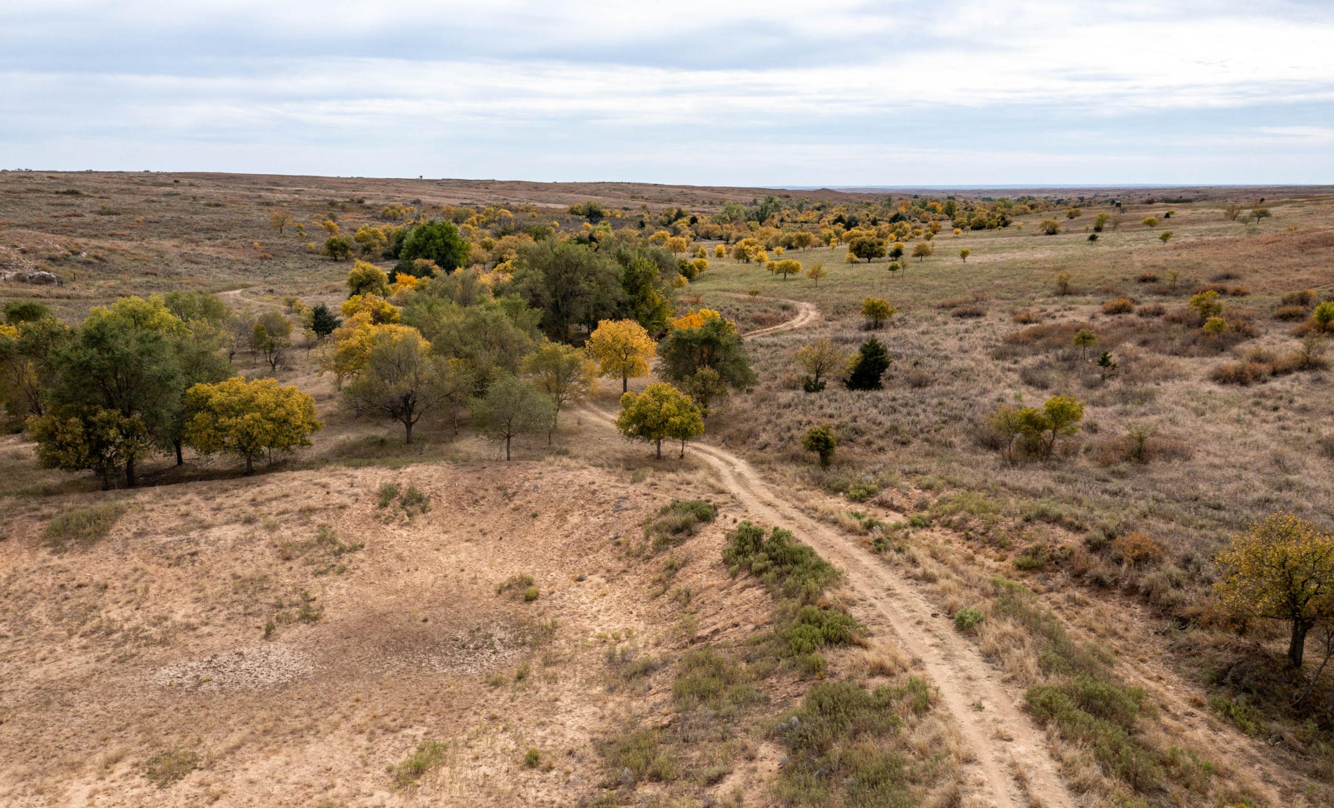Diamond B Ranch Chas S. Middleton